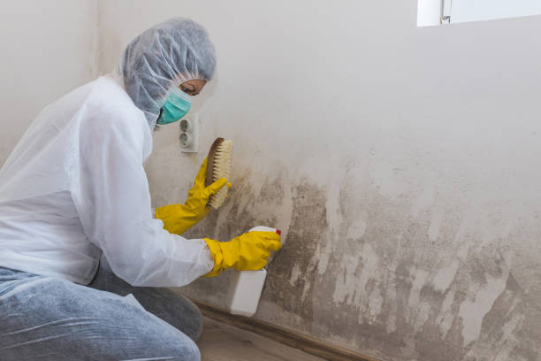 Best Industrial Mold Remediation  in Prineville Lake Acres, OR