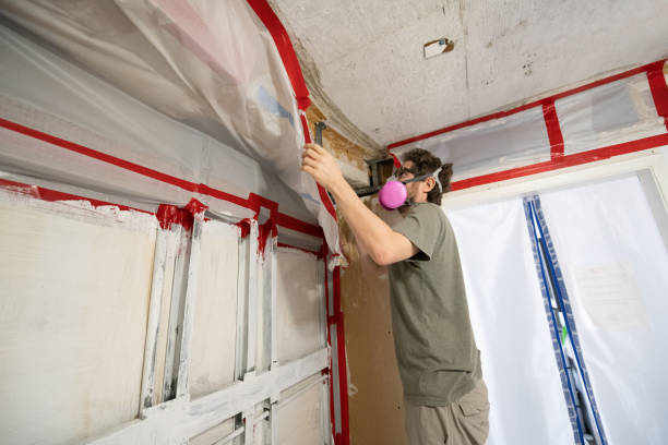 Best Mold Documentation for Insurance Claims  in Prineville Lake Acres, OR