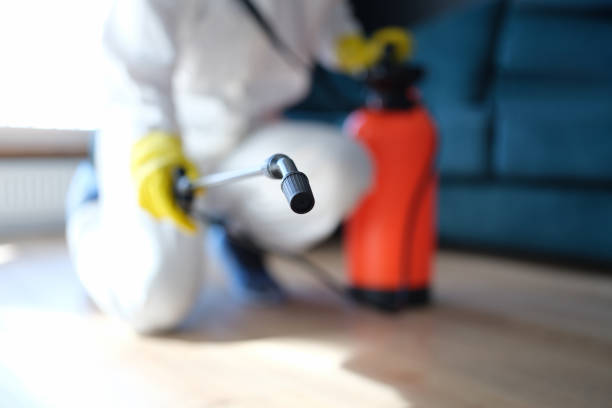 Best Real Estate Mold Inspection  in Prineville Lake Acres, OR