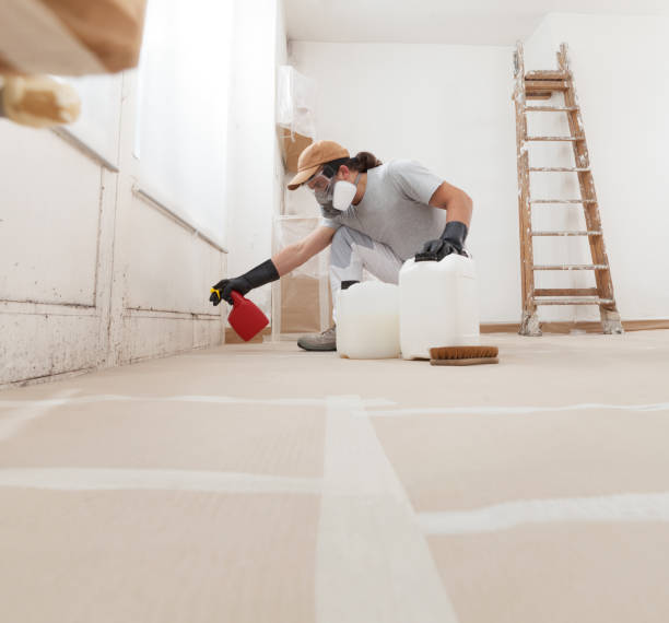 Best Crawl Space Mold Remediation  in Prineville Lake Acres, OR